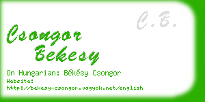 csongor bekesy business card